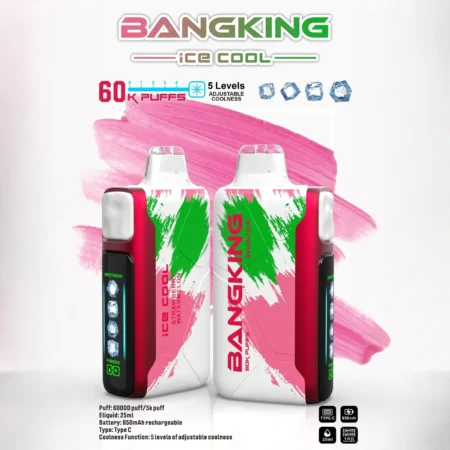 Bang King 60000 拋棄式電子煙｜LED 電量螢幕 × 五檔冰感控制｜大容量續航・多款口味 - 電子煙潮流商城