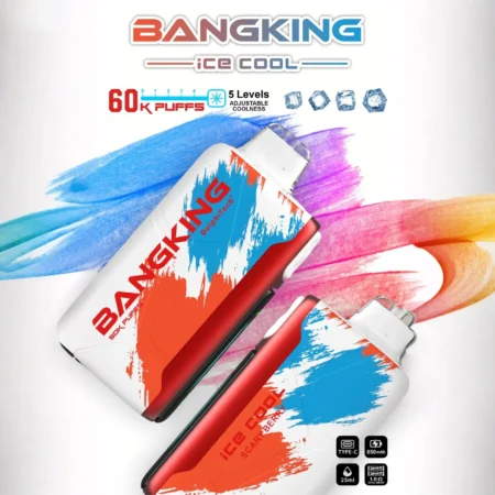 Bang King 60000 拋棄式電子煙｜LED 電量螢幕 × 五檔冰感控制｜大容量續航・多款口味 - 電子煙潮流商城